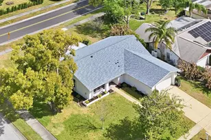 3013 Gregor Ct, Palm Harbor, FL 34684 - Photo 4