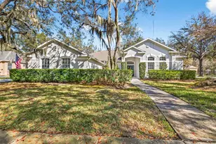 15036 Eaglerise Dr, Lithia, FL 33547 - Photo 1