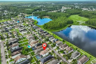 21324 Southern Charm Dr, Land O Lakes, FL 34637 - Photo 4