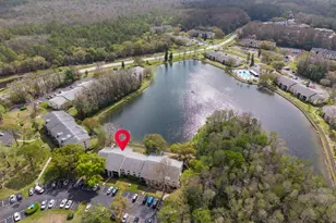 1441 Pine Glen Ln, Tarpon Springs, FL 34688 - Photo 40