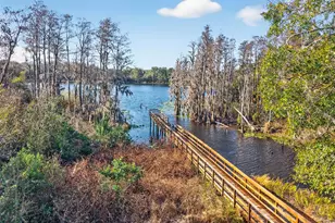 6227 Scarlet Darter Wy, Tampa, FL 33625 - Photo 36