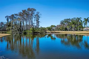 3415 Lori Ln, New Port Richey, FL 34655 - Photo 34