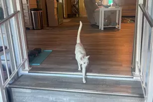 105 Freedom Ct, Palm Harbor, FL 34684 - Photo 14