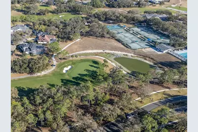 3910 Turkey Oak Drive, Valrico, FL 33596 - Photo 60