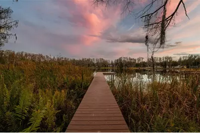 3812 Little Road, Lutz, FL 33548 - Photo 100