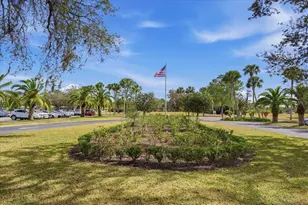 3272 Lori Ln, New Port Richey, FL 34655 - Photo 64