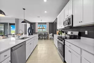 3311 Pineberry Xing, Parrish, FL 34219 - Photo 10