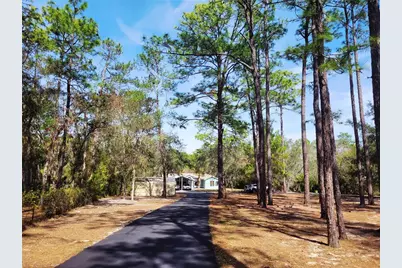 9153 Michigan Avenue, Weeki Wachee, FL 34613 - Photo 4