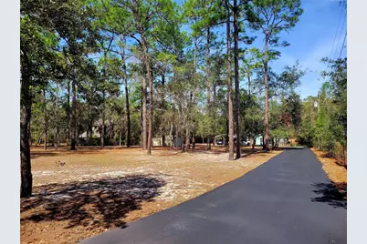 9153 Michigan Avenue, Weeki Wachee, FL 34613 - Photo 76