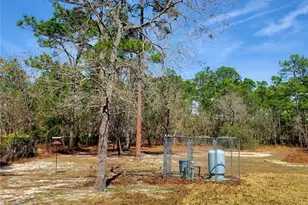 9153 Michigan Ave, Weeki Wachee, FL 34613 - Photo 70