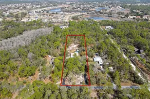 9153 Michigan Ave, Weeki Wachee, FL 34613 - Photo 2