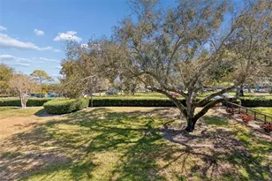 36750 US Hwy 19 N, Palm Harbor, FL 34684 - Photo 24