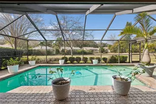 2194 Pinnacle Cir N, Palm Harbor, FL 34684 - Photo 54