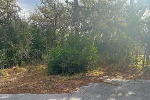 10024 Oana St, New Port Richey, FL 34654 - Photo 1