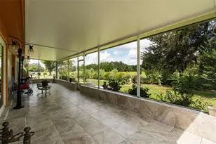 34515 Cedarfield Dr, Dade City, FL 33523 - Photo 38