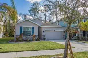 32959 Sand Creek Dr, Wesley Chapel, FL 33543 - Photo 2