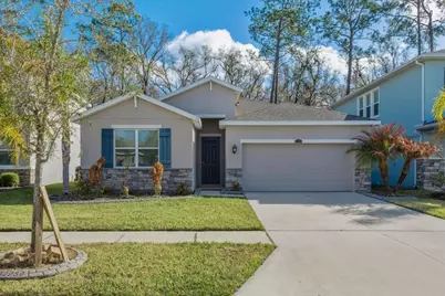 32959 Sand Creek Drive, Wesley Chapel, FL 33543 - Photo 1