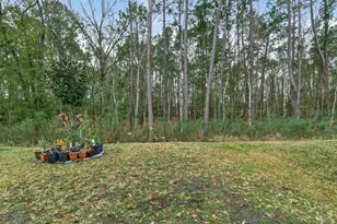 2929 Lucille Ln, Middleburg, FL 32068 - Photo 74