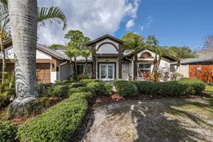 12038 Stone Crossing Cir, Tampa, FL 33635 - Photo 12