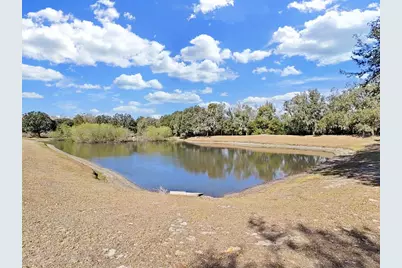 1606 Marsh Wood Drive, Seffner, FL 33584 - Photo 18