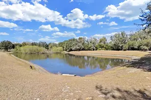 1606 Marsh Wood Dr, Seffner, FL 33584 - Photo 18