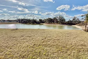 6523 Bar S Bar Trl, Zephyrhills, FL 33541 - Photo 36