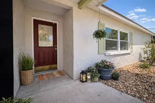 2505 Linden Tree St, Seffner, FL 33584 - Photo 6