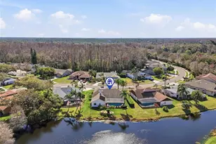 846 Centerwood Dr, Tarpon Springs, FL 34688 - Photo 62