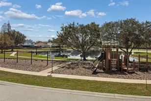 31537 Earn Dr, Wesley Chapel, FL 33545 - Photo 70