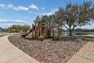 31537 Earn Dr, Wesley Chapel, FL 33545 - Photo 16