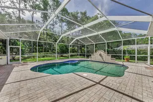 3972 Mimosa Pl, Palm Harbor, FL 34685 - Photo 72