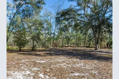 8602 Back Road, Plant City, FL 33565 - Photo 16