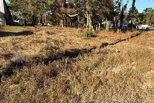 13786 Linden Dr, Spring Hill, FL 34609 - Photo 1