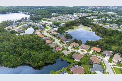 21314 Marsh Hawk Drive, Land O Lakes, FL 34638 - Photo 60