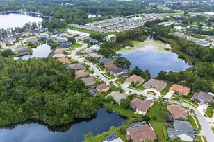 21314 Marsh Hawk Dr, Land O Lakes, FL 34638 - Photo 60