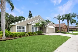 21314 Marsh Hawk Dr, Land O Lakes, FL 34638 - Photo 50