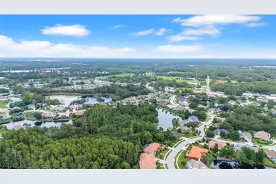21314 Marsh Hawk Drive, Land O Lakes, FL 34638 - Photo 62