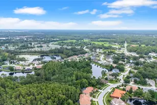 21314 Marsh Hawk Dr, Land O Lakes, FL 34638 - Photo 62