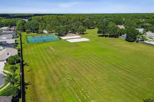 19427 Morden Blush Dr, Lutz, FL 33558 - Photo 84