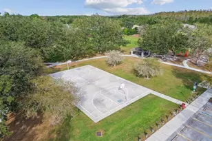 19427 Morden Blush Dr, Lutz, FL 33558 - Photo 78