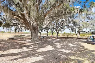 31398 Mango Fade Wy, San Antonio, FL 33576 - Photo 54