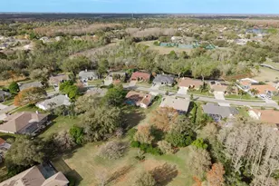 6617 Thoroughbred Loop, Odessa, FL 33556 - Photo 60