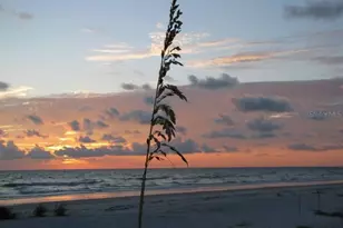 19652 Gulf Blvd, Indian Shores, FL 33785 - Photo 22