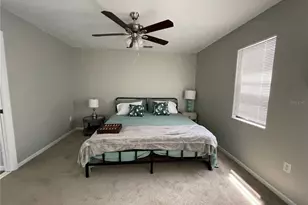 606 N Mayo St, Crystal Beach, FL 34681 - Photo 8