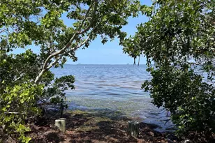 606 N Mayo St, Crystal Beach, FL 34681 - Photo 38