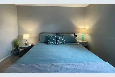 606 N Mayo Street, Crystal Beach, FL 34681 - Photo 10