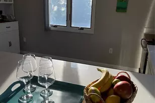 606 N Mayo St, Crystal Beach, FL 34681 - Photo 22