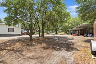 12919 S County Rd 39, Lithia, FL 33547 - Photo 10