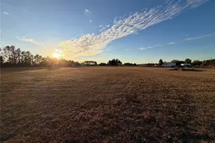 12919 S County Rd 39, Lithia, FL 33547 - Photo 32