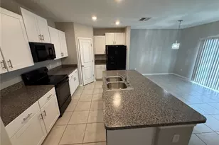 12016 MIracle Mile Dr, Riverview, FL 33578 - Photo 2